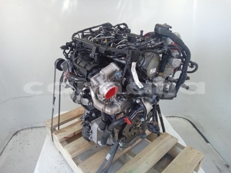 Big with watermark s l960d