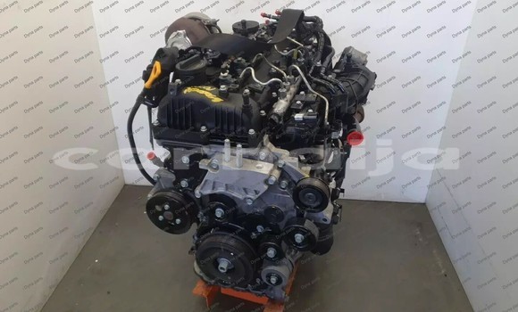 Medium with watermark 1