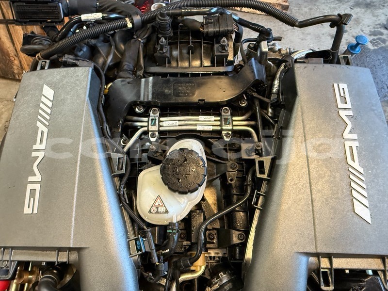 Big with watermark 7