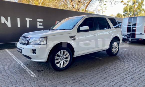 Buy Used Land Rover Freelander White Car in Lagos in Lagos State Buy Used Land Rover Freelander White Car in Lagos in Lagos State