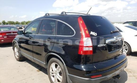 Buy Used Honda CR–V Other Car in Lagos in Lagos State Buy Used Honda CR–V Other Car in Lagos in Lagos State