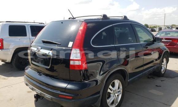 Buy Used Honda CR–V Other Car in Lagos in Lagos State Buy Used Honda CR–V Other Car in Lagos in Lagos State