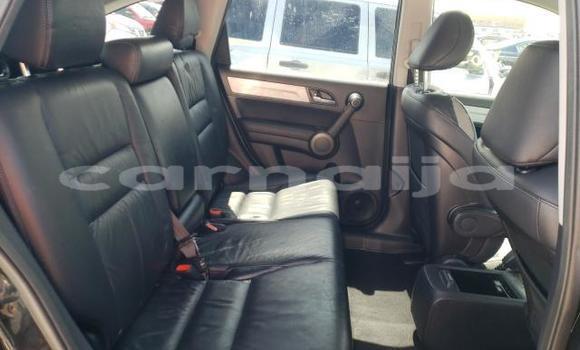 Buy Used Honda CR–V Other Car in Lagos in Lagos State Buy Used Honda CR–V Other Car in Lagos in Lagos State