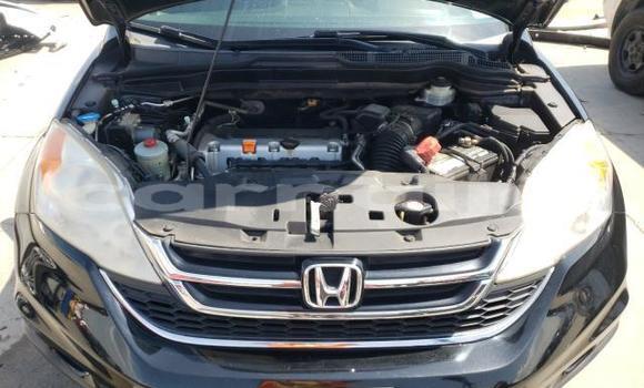 Buy Used Honda CR–V Other Car in Lagos in Lagos State Buy Used Honda CR–V Other Car in Lagos in Lagos State