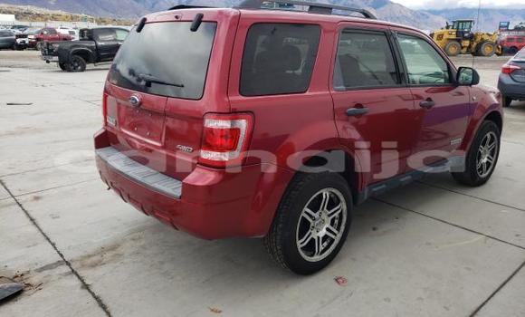 Buy Used Ford Escape Other Car in Lagos in Lagos State Buy Used Ford Escape Other Car in Lagos in Lagos State