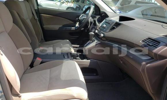 Buy Used Honda CR–V Other Car in Lagos in Lagos State Buy Used Honda CR–V Other Car in Lagos in Lagos State