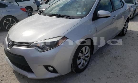 Buy Used Toyota Corolla Other Car in Lagos in Lagos State