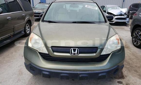 Buy Used Honda CR–V Other Car in Lagos in Lagos State Buy Used Honda CR–V Other Car in Lagos in Lagos State