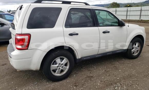 Buy Used Ford Escape Other Car in Lagos in Lagos State Buy Used Ford Escape Other Car in Lagos in Lagos State