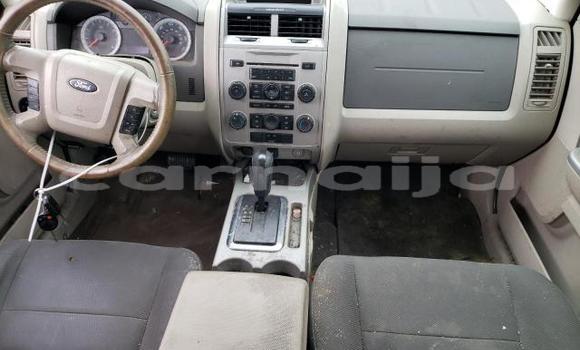 Buy Used Ford Escape Other Car in Lagos in Lagos State Buy Used Ford Escape Other Car in Lagos in Lagos State