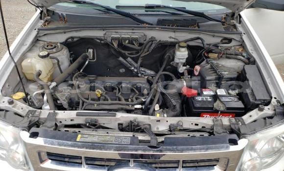 Buy Used Ford Escape Other Car in Lagos in Lagos State Buy Used Ford Escape Other Car in Lagos in Lagos State