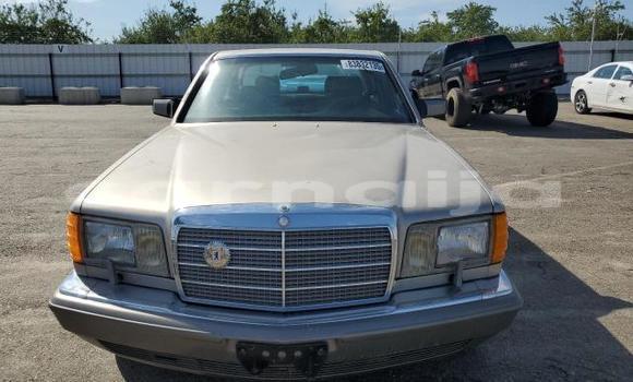 Buy Used Mercedes-Benz Citan Silver Car in Lagos in Lagos State