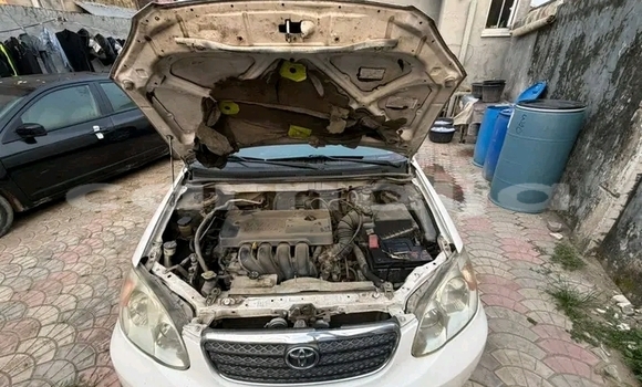 Buy Used Toyota Corolla White Car in Abuja in Lagos State Buy Used Toyota Corolla White Car in Abuja in Lagos State