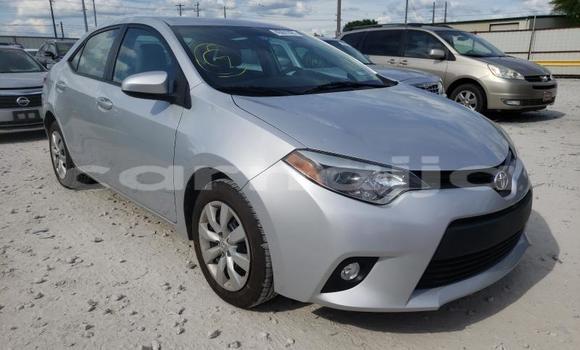 Buy Used Toyota Corolla Other Car in Lagos in Lagos State