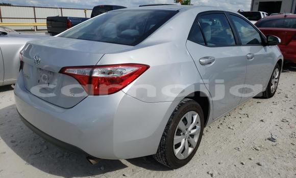Buy Used Toyota Corolla Other Car in Lagos in Lagos State Buy Used Toyota Corolla Other Car in Lagos in Lagos State
