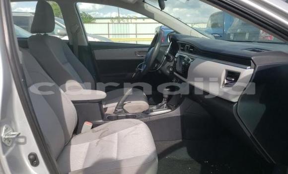 Buy Used Toyota Corolla Other Car in Lagos in Lagos State Buy Used Toyota Corolla Other Car in Lagos in Lagos State