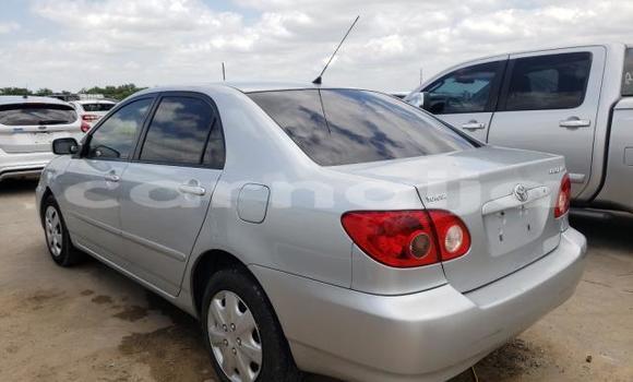 Buy Used Toyota Corolla Other Car in Lagos in Lagos State Buy Used Toyota Corolla Other Car in Lagos in Lagos State