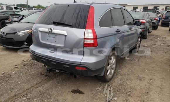 Buy Used Honda CR–V Other Car in Lagos in Lagos State Buy Used Honda CR–V Other Car in Lagos in Lagos State