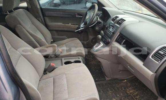 Buy Used Honda CR–V Other Car in Lagos in Lagos State Buy Used Honda CR–V Other Car in Lagos in Lagos State
