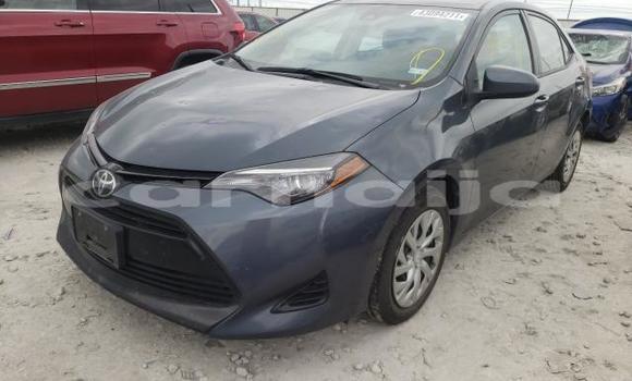 Buy Used Toyota Corolla Black Car in Lagos in Lagos State Buy Used Toyota Corolla Black Car in Lagos in Lagos State