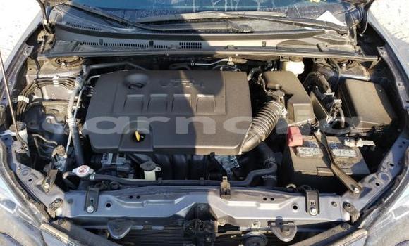 Buy Used Toyota Corolla Black Car in Lagos in Lagos State Buy Used Toyota Corolla Black Car in Lagos in Lagos State