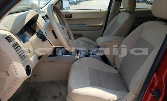 Buy Used Ford Escape Other Car in Lagos in Lagos State Buy Used Ford Escape Other Car in Lagos in Lagos State