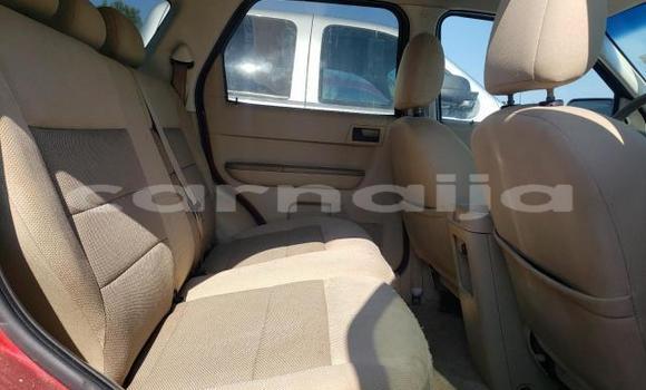 Buy Used Ford Escape Other Car in Lagos in Lagos State Buy Used Ford Escape Other Car in Lagos in Lagos State