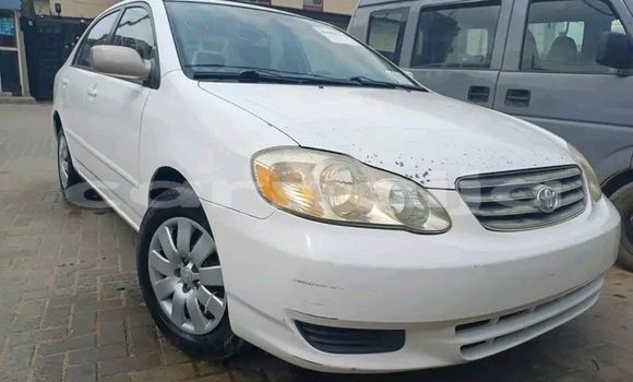 Buy Used Toyota Corolla White Car in Abuja in Lagos State Buy Used Toyota Corolla White Car in Abuja in Lagos State