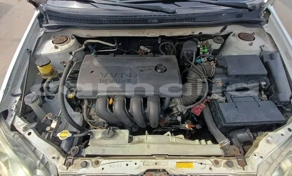 Buy Used Toyota Corolla White Car in Abuja in Lagos State Buy Used Toyota Corolla White Car in Abuja in Lagos State