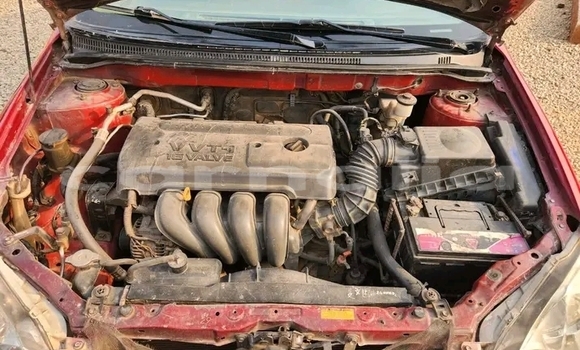 Buy Used Toyota Corolla Red Car in Abakaliki in Ebonyi State Buy Used Toyota Corolla Red Car in Abakaliki in Ebonyi State