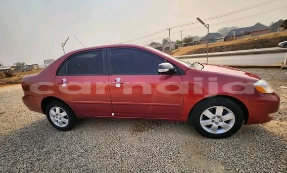 Buy Used Toyota Corolla Red Car in Abakaliki in Ebonyi State Buy Used Toyota Corolla Red Car in Abakaliki in Ebonyi State