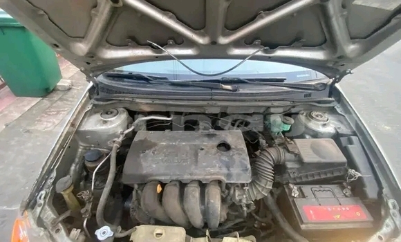 Buy Used Toyota Corolla White Car in Ado–Ekiti in Ekiti State Buy Used Toyota Corolla White Car in Ado–Ekiti in Ekiti State