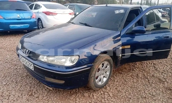 Buy Used Peugeot 406 Other Car in Aboh in Delta State Buy Used Peugeot 406 Other Car in Aboh in Delta State