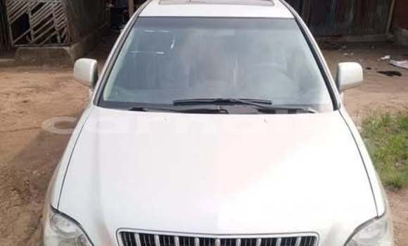 Buy Used Toyota Ractis Other Car in Port Harcourt in Rivers State Buy Used Toyota Ractis Other Car in Port Harcourt in Rivers State