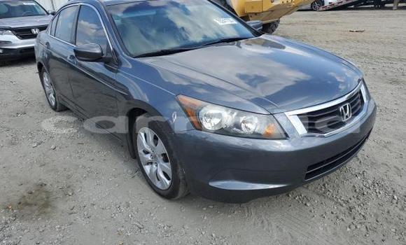 Buy New Honda Accord Other Car in Lagos in Lagos State