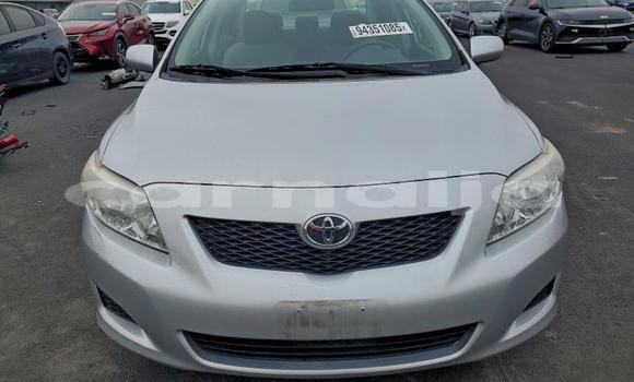 Buy Used Toyota Corolla Other Car in Lagos in Lagos State