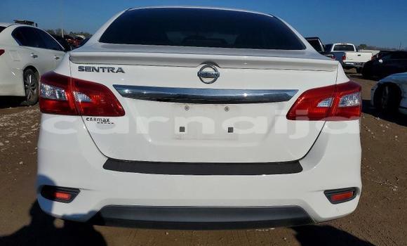 Acheter Occasion Voiture Nissan Sentra Blanc à Lagos, État de Lagos Acheter Occasion Voiture Nissan Sentra Blanc à Lagos, État de Lagos