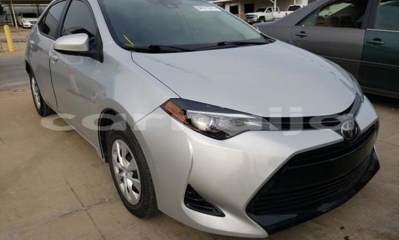 Buy Used Toyota Corolla Other Car in Lagos in Lagos State