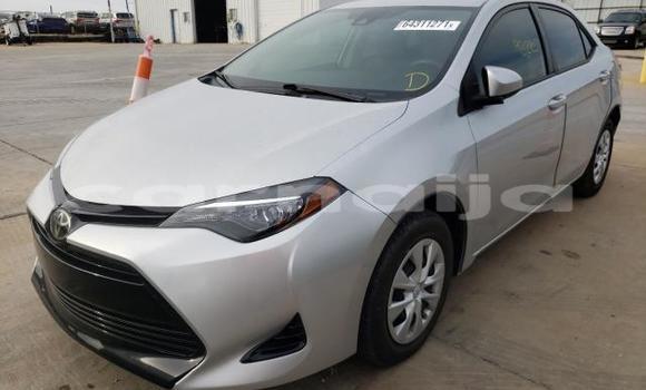 Buy Used Toyota Corolla Other Car in Lagos in Lagos State Buy Used Toyota Corolla Other Car in Lagos in Lagos State