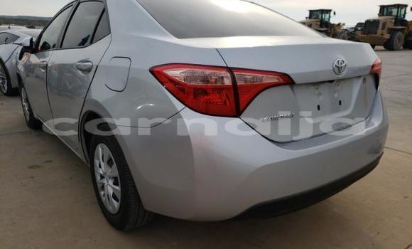 Buy Used Toyota Corolla Other Car in Lagos in Lagos State Buy Used Toyota Corolla Other Car in Lagos in Lagos State