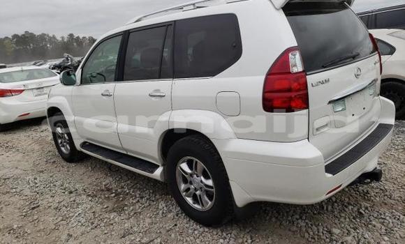 Buy New Lexus GX White Car in Lagos in Lagos State Buy New Lexus GX White Car in Lagos in Lagos State