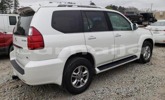 Buy New Lexus GX White Car in Lagos in Lagos State Buy New Lexus GX White Car in Lagos in Lagos State