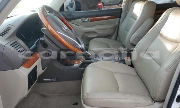 Buy New Lexus GX White Car in Lagos in Lagos State Buy New Lexus GX White Car in Lagos in Lagos State