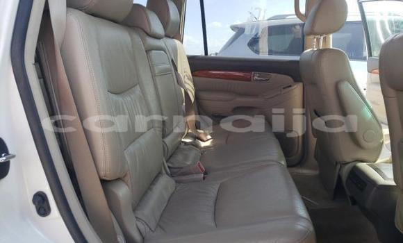 Buy New Lexus GX White Car in Lagos in Lagos State Buy New Lexus GX White Car in Lagos in Lagos State