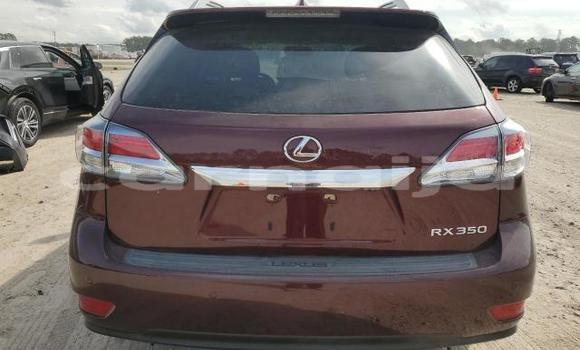 Buy New Lexus RX 350 Brown Car in Lagos in Lagos State Buy New Lexus RX 350 Brown Car in Lagos in Lagos State