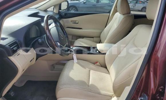 Buy New Lexus RX 350 Brown Car in Lagos in Lagos State Buy New Lexus RX 350 Brown Car in Lagos in Lagos State