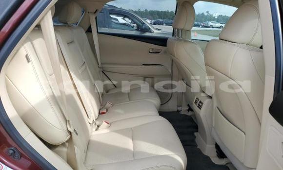 Buy New Lexus RX 350 Brown Car in Lagos in Lagos State Buy New Lexus RX 350 Brown Car in Lagos in Lagos State
