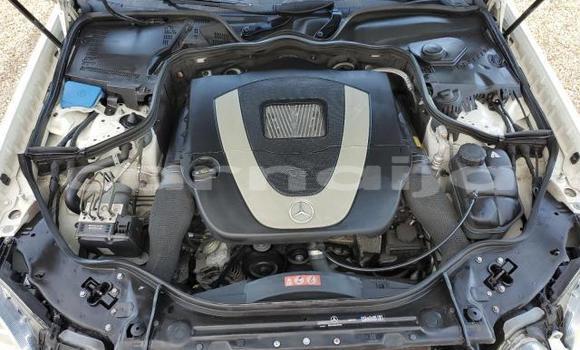 Buy New Mercedes-Benz E–Class White Car in Lagos in Lagos State Buy New Mercedes-Benz E–Class White Car in Lagos in Lagos State