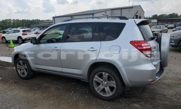 Buy New Toyota RAV4 Silver Car in Lagos in Lagos State Buy New Toyota RAV4 Silver Car in Lagos in Lagos State