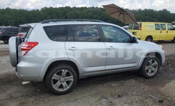 Buy New Toyota RAV4 Silver Car in Lagos in Lagos State Buy New Toyota RAV4 Silver Car in Lagos in Lagos State